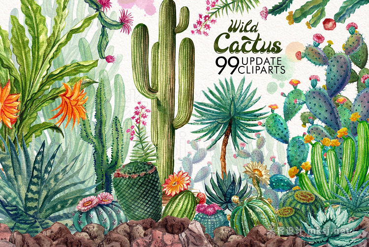 png素材 Watercolor Cactuses