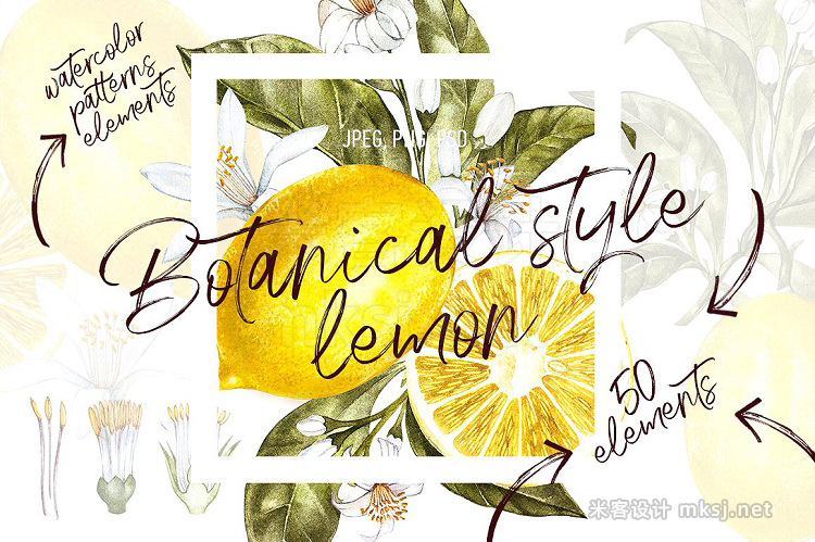 png素材 Lemon in botanical style