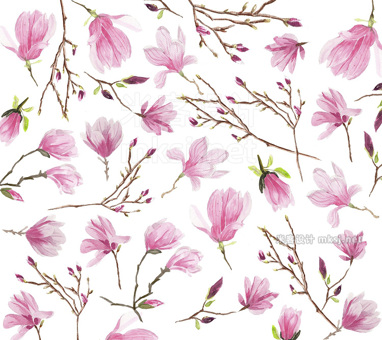 png素材 Magnolias Watercolor flowers