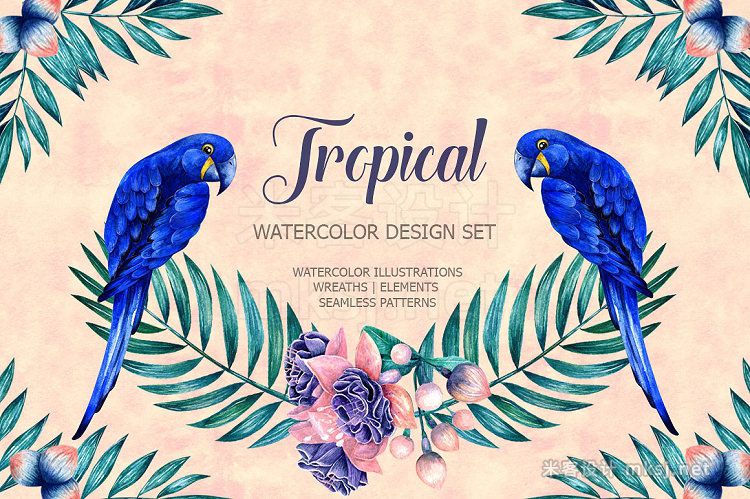 png素材 Tropical watercolor set