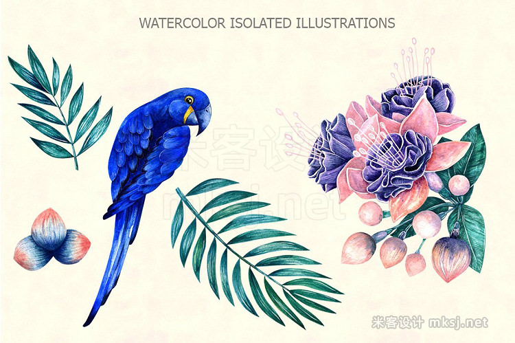 png素材 Tropical watercolor set