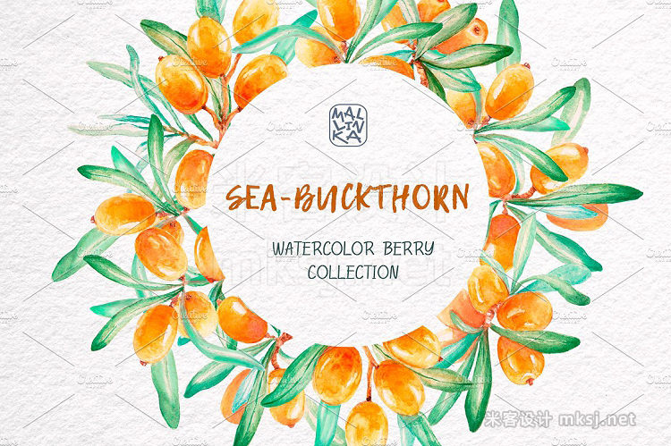 png素材 Sea-buckthorn watercolor collection
