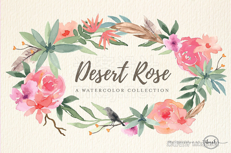 png素材 Desert Rose