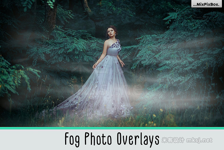 png素材 Fog Photo Overlays