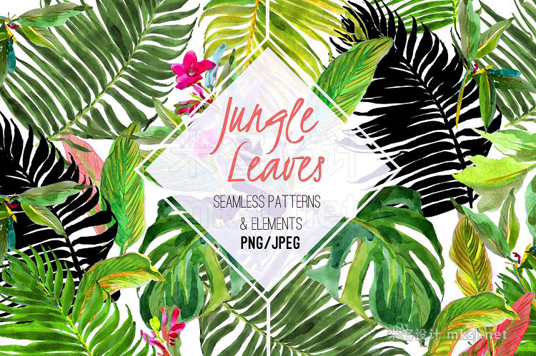png素材 Jungle Leaves Watercolor Set