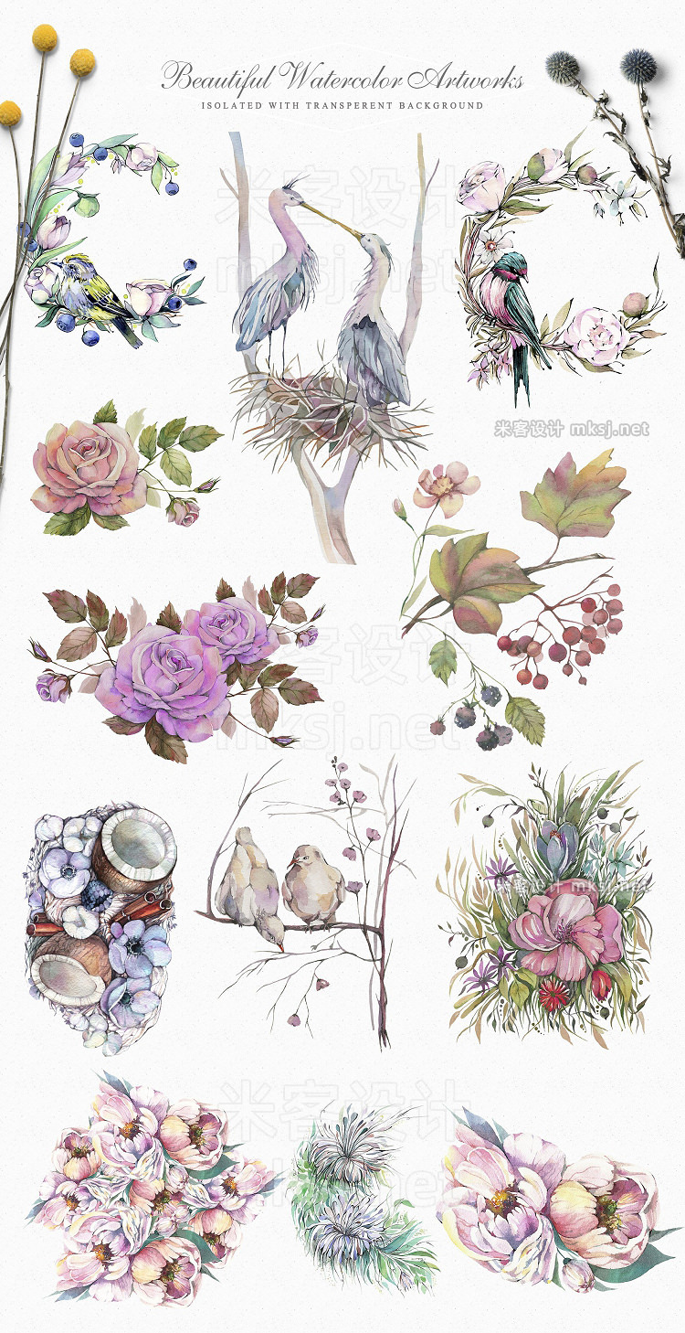 png素材 Spring Garden Watercolor Collection