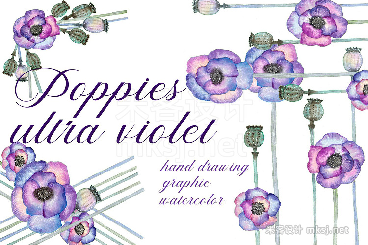 png素材 Poppies Ultraviolet Watercolor set