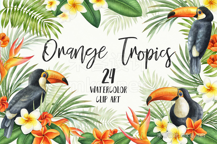 png素材 Watercolor Orange Tropics Toucan