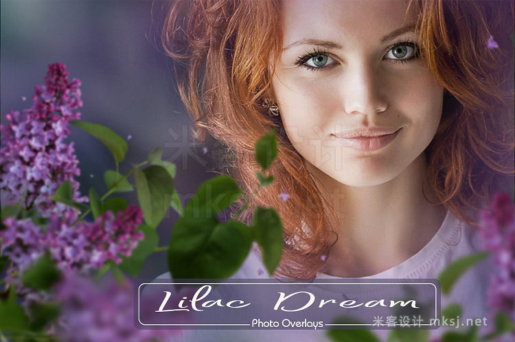 png素材 Lilac Photo Overlays (39 PNG)