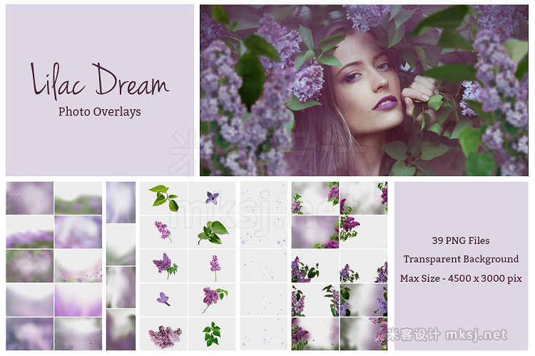png素材 Lilac Photo Overlays (39 PNG)