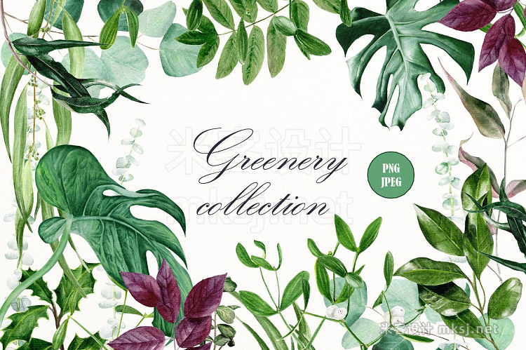png素材 Greenery watercolor collection