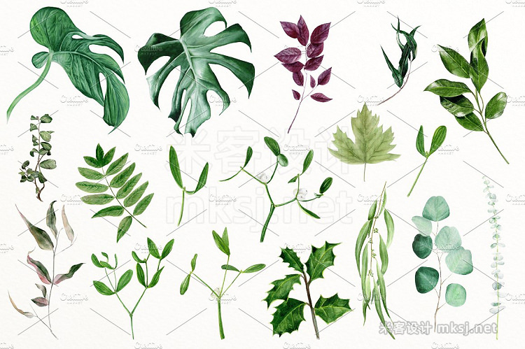 png素材 Greenery watercolor collection