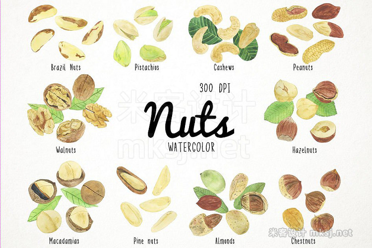png素材 Watercolor Nuts Clipart