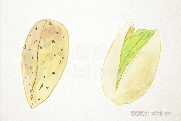 png素材 Watercolor Nuts Clipart