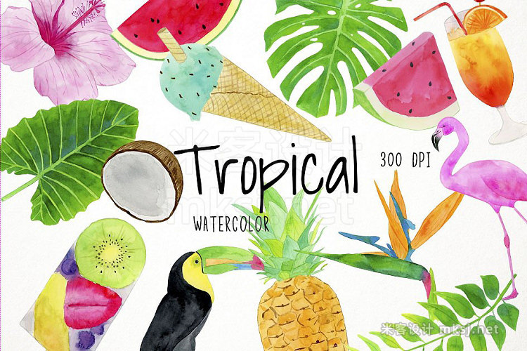 png素材 Watercolor Tropical Clipart