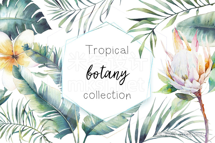 png素材 Tropical botany collection