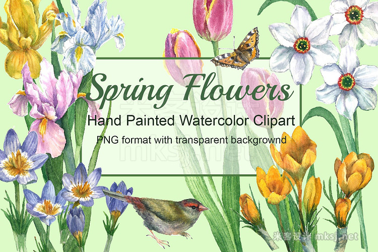 png素材 Spring Flowers Watercolor Clipart