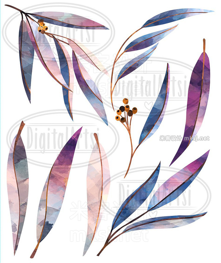 png素材 Watercolor Eucalyptus Clipart