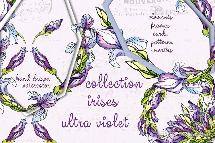 png素材 Set of irises flowersUltraviolet
