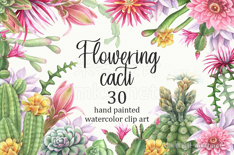 png素材 Watercolor flowering cacti