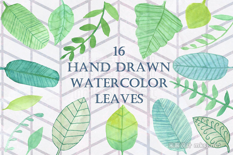 png素材 16 Handpainted Watercolor Leaves
