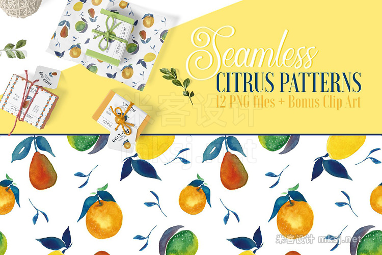 png素材 Seamless Citrus Patterns  Clip Art