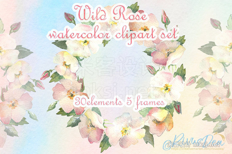 png素材 Watercolor wild dog rose clipart set
