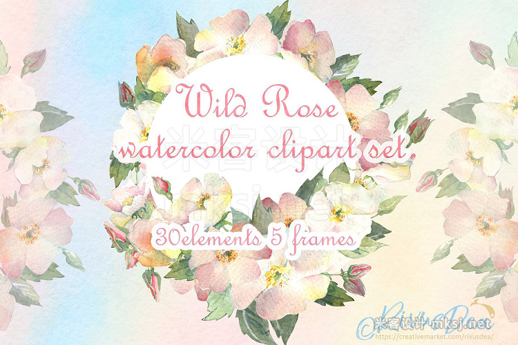 png素材 Watercolor wild dog rose clipart set