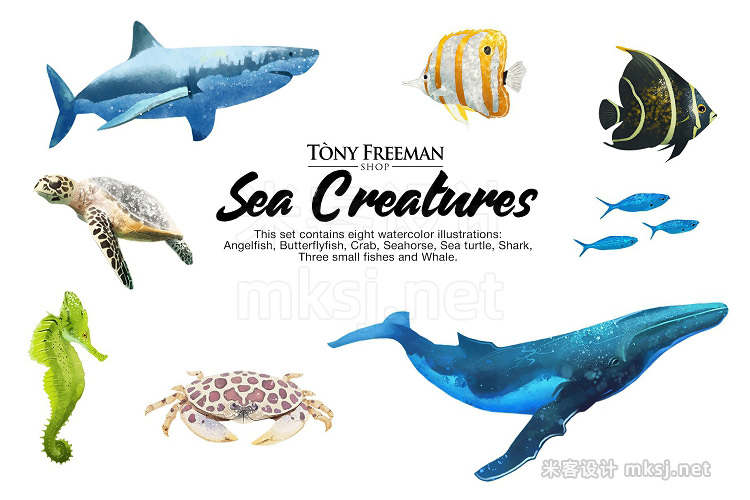 png素材 Set of Sea Creatures
