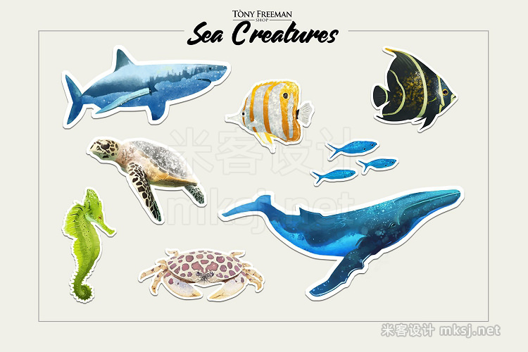 png素材 Set of Sea Creatures