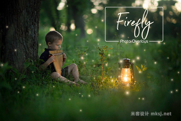 png素材 Firefly Magical Overlays