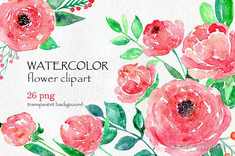 png素材 Watercolor flower peony 26 in set