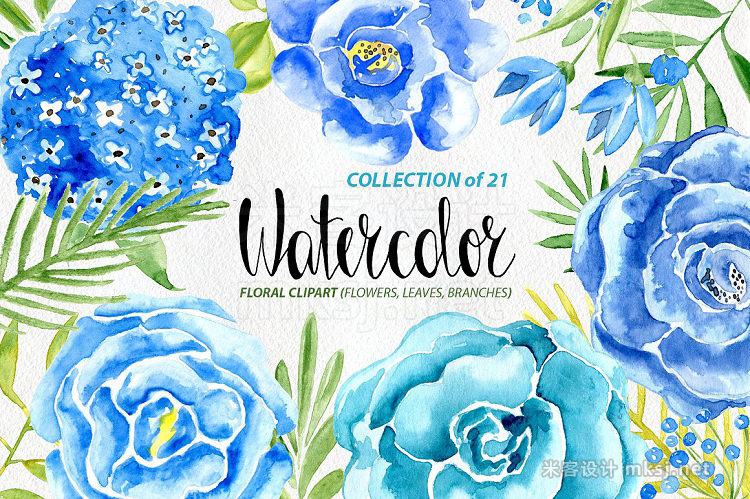 png素材 Watercolor blue flowers set