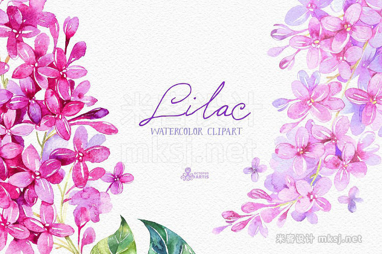 png素材 Lilac Watercolor collection