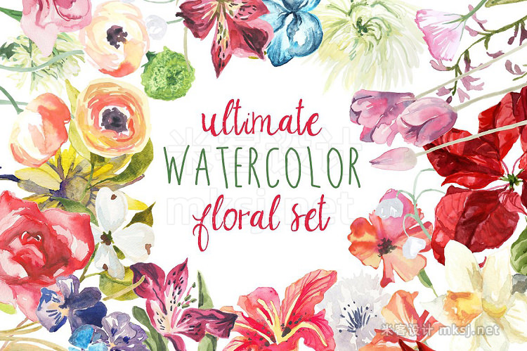 png素材 Ultimate Watercolor Floral Set