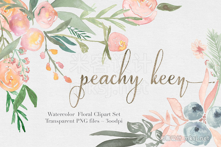 png素材 Peachy Keen Watercolor clipart Set