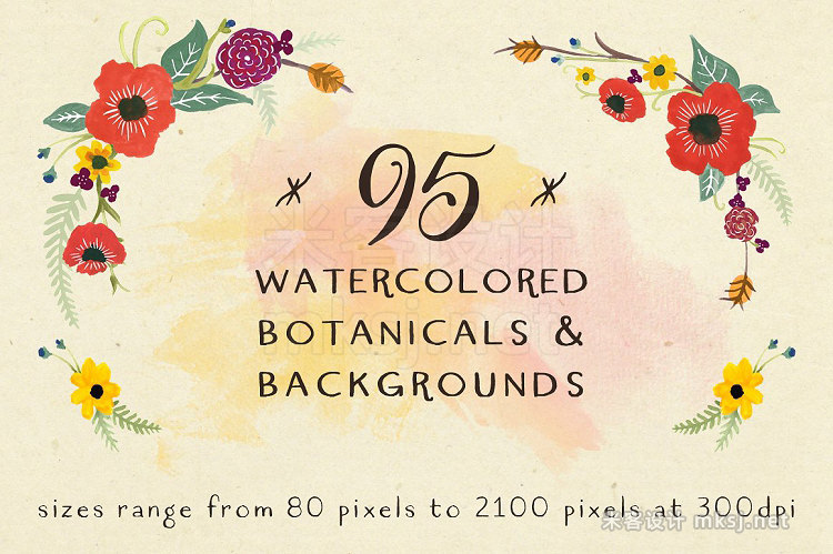 png素材 Watercolor Botanical Graphic Bundle