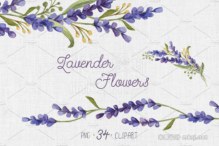 png素材 Watercolor set with Lavender Flowers