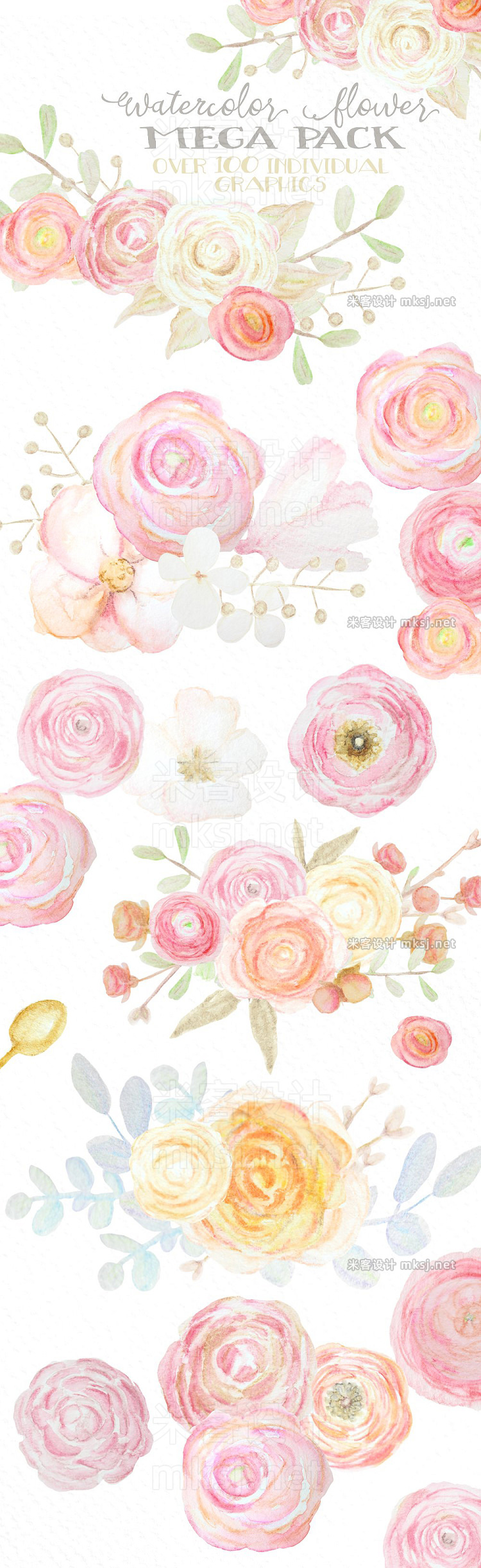 png素材 Watercolor Flowers Mega Pack