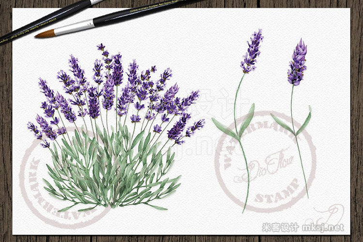 png素材 Vintage Lavender Watercolor Clip Art