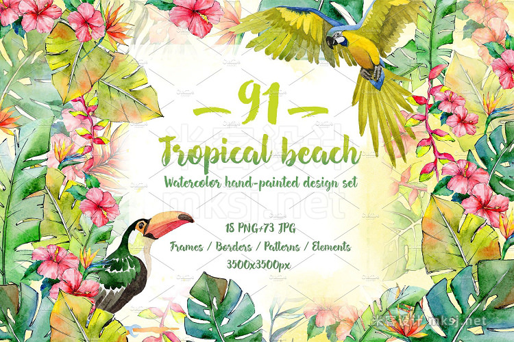 png素材 Tropical beach PNG watercolor set