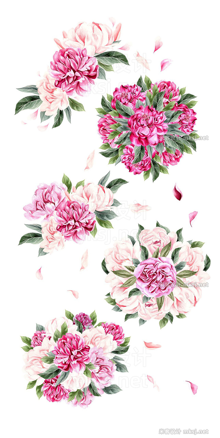 png素材 Hand Drawn Watercolor Blooming Peony