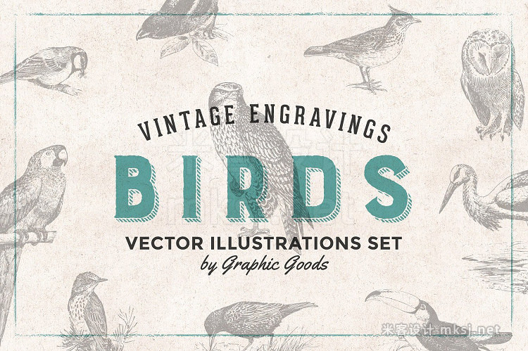 png素材 Birds Engravings Set
