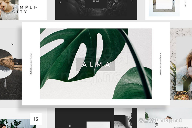 PPT模板 ALMA PowerPoint Template