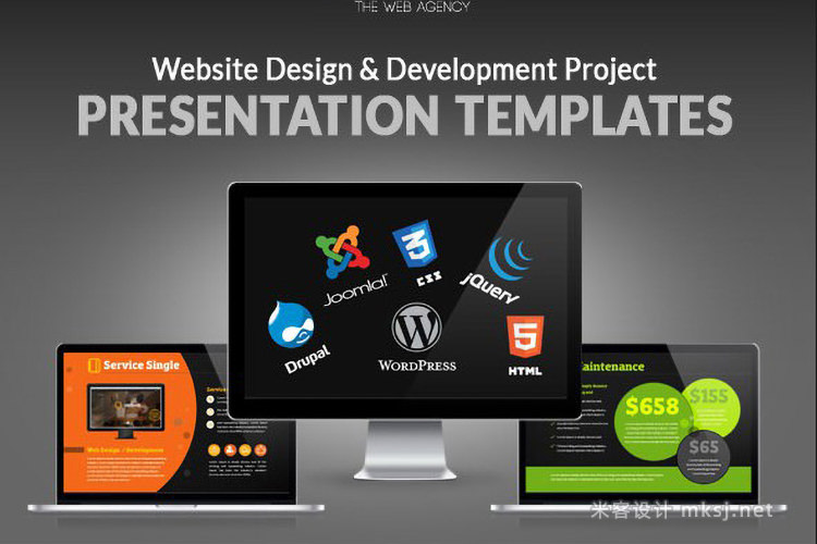 WEB网站网页项目开发平面UI设计规划报告PPT模板 Web Design & Development Project Presentation
