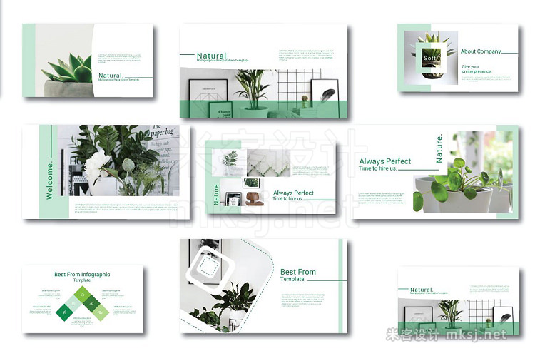 PPT模板 Natural Powerpoint Template