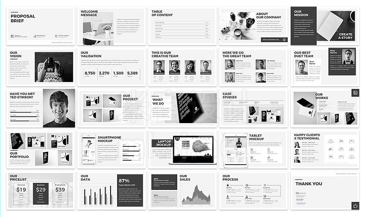 PPT模板 Proposal Brief Powerpoint Template