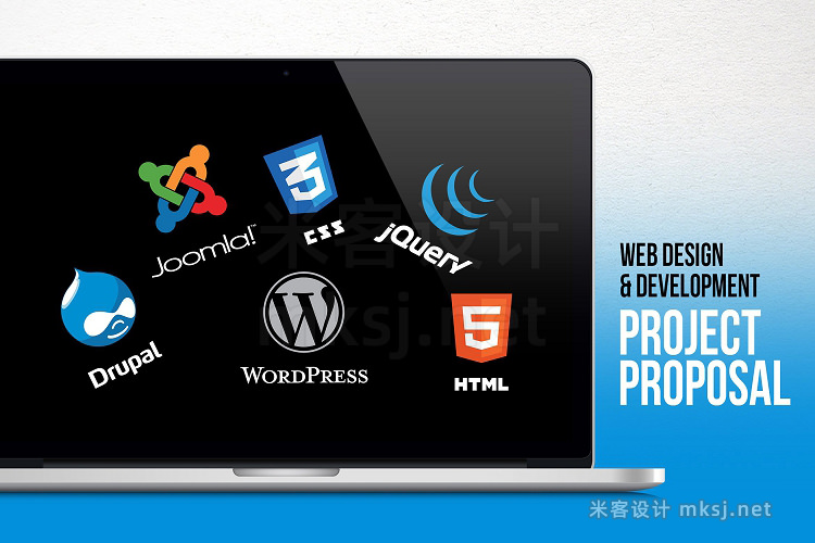 PPT模板 Web Design Development Project Pre