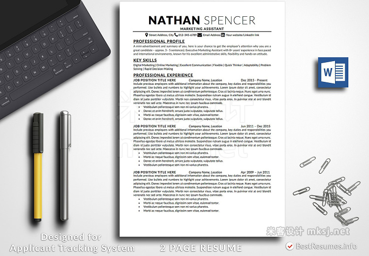 PPT模板 Professional Resume Template Word