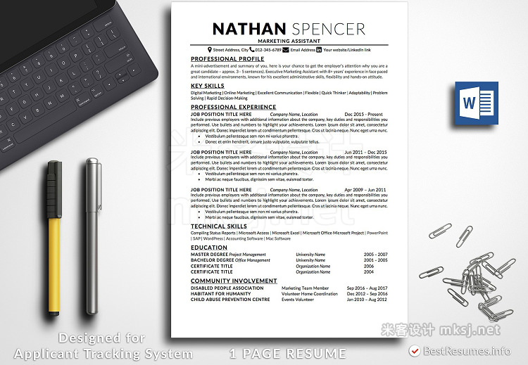 PPT模板 Professional Resume Template Word